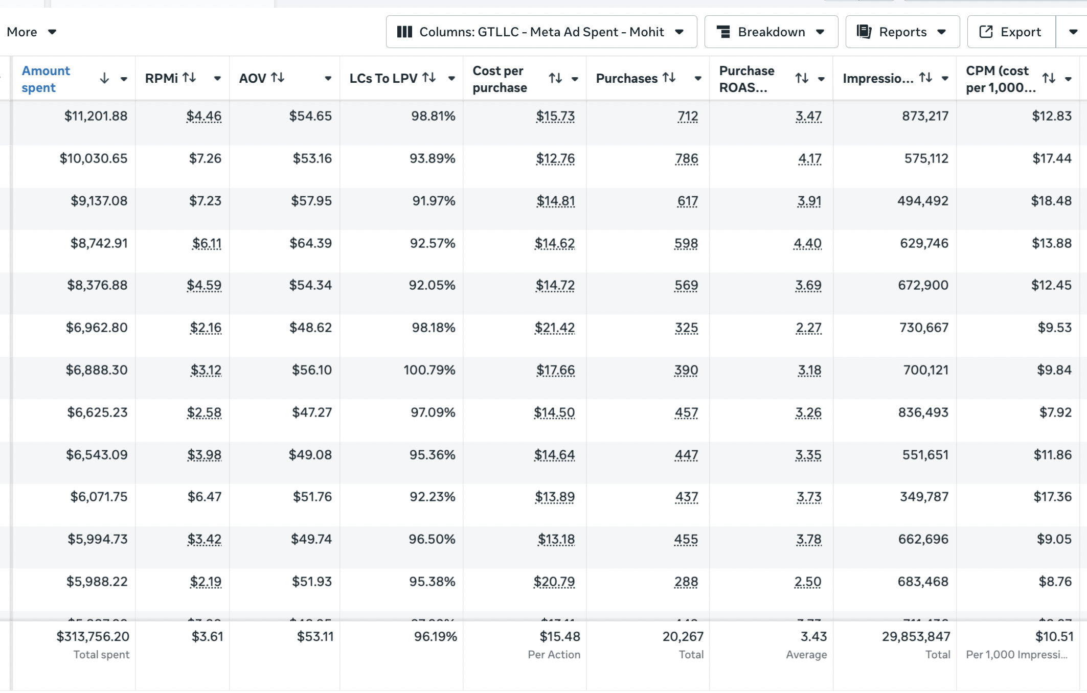 Meta Ads — $313K spend, 20,267 purchases, 3.43× ROAS